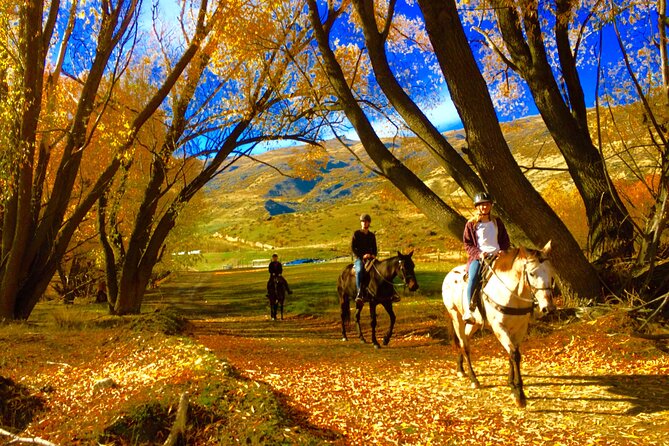 Gold Discovery Trail Horse Trek Cardrona - Most popular! - Cardrona Valley on Horseback: Why This Ride Fits So Well
