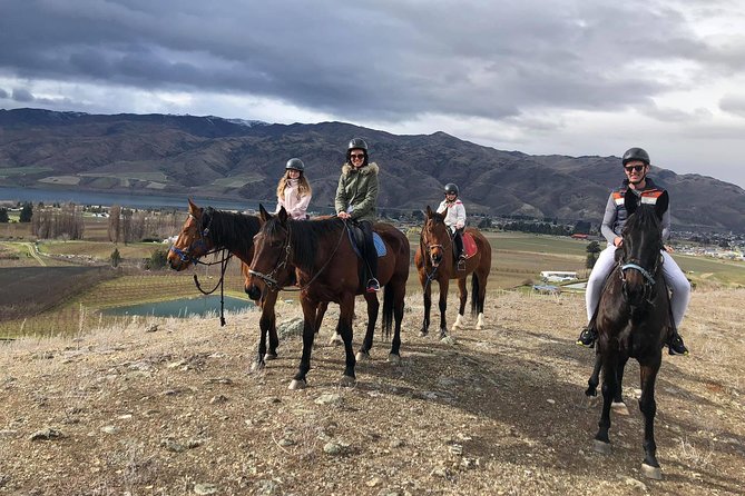 Golden Hills Horse Trek in Central Otago - Key highlights worth planning around