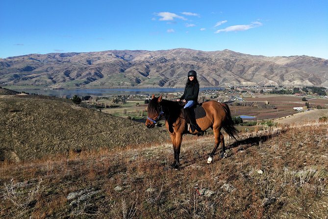Golden Hills Horse Trek in Central Otago - Two Hours in Central Otago: What You Really Get for $142