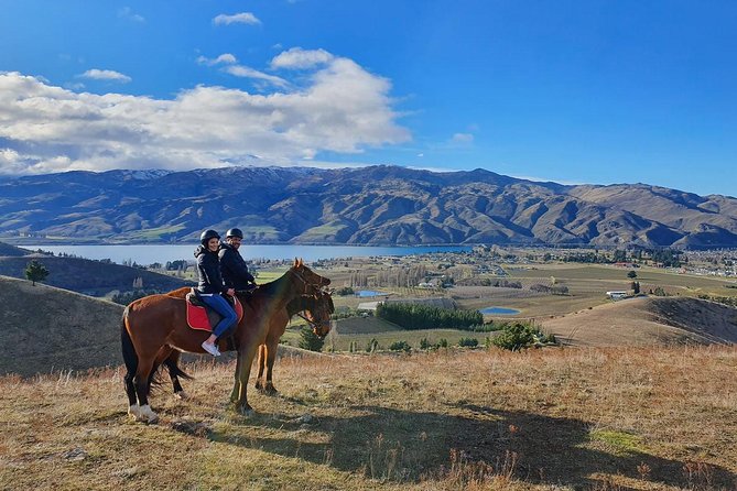 Golden Hills Horse Trek in Central Otago - What to Bring (Since Food and Pickup Aren’t Included)