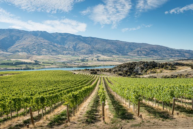 Gourmet Food and Wine Tour Queenstown All-Inclusive Tour - Key things that make this tour worth your time