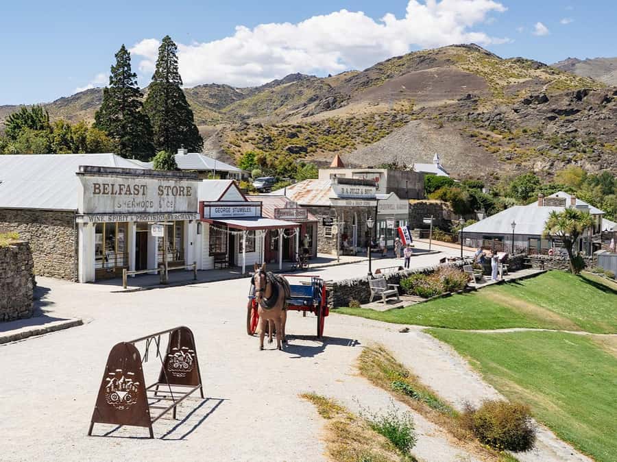 Gourmet Food and Wine Tour with Lunch and Wine Tastings - What the day feels like in real time (and where it may test your patience)