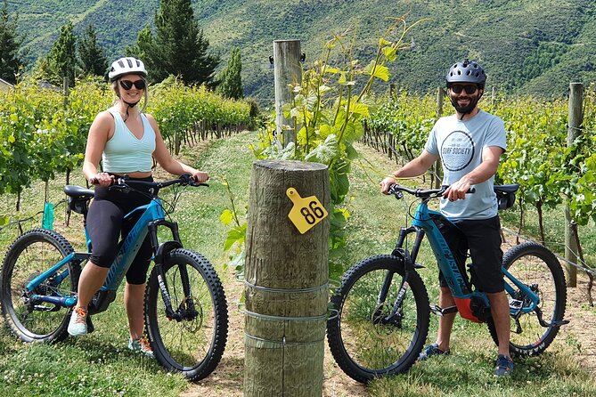 Guided eBike Wine Tour Ride to the Vines - Key highlights I think matter