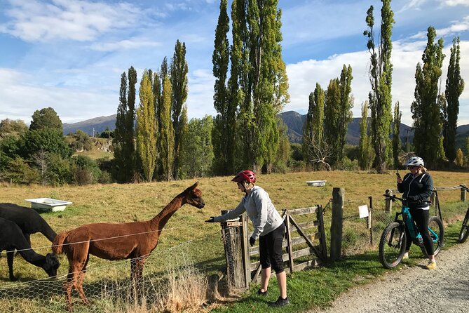 Guided eBike Wine Tour Ride to the Vines - From Country Lane Retail Village to Arrowtown: the warm start