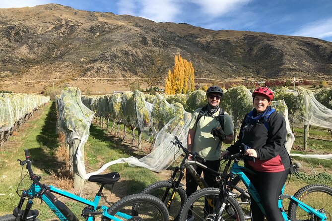 Guided eBike Wine Tour Ride to the Vines - Arrow Junction animal stop: a quick reset before Gibbston