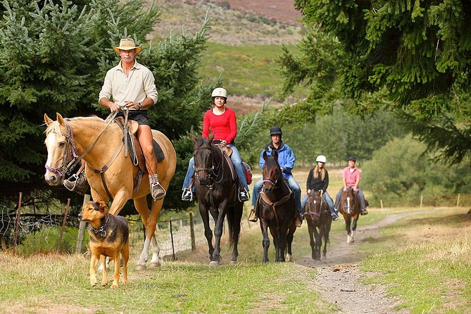 Half Day Walter Peak Horse Trek and Cruise from Queenstown - Value for $142.11: when the short ride is worth it
