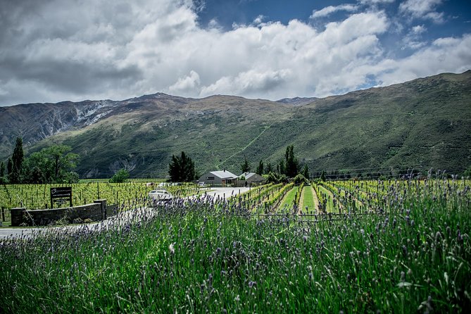 Hop on Hop off Wine Tours Queenstown - Price and what €51.08 buys you in real life