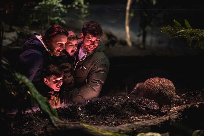 Kiwi Park Queenstown Admission - Getting Your Bearings: Location, Arrival Timing, and How Long It Takes