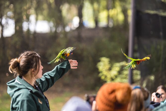 Kiwi Park Queenstown Admission - New Zealand Conservation Show: Birds Fly Free in Netting