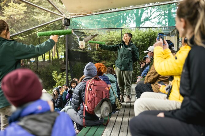 Kiwi Park Queenstown Admission - Kiwi Encounters: Night-Vision Kiwi Viewing Without the Wild Guesswork