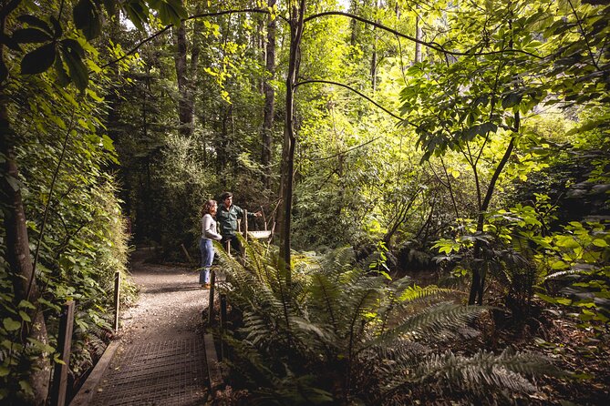 Kiwi Park Queenstown Admission - Forest Walks, Trout-Filled Streams, and Kiwi Conservation in Plain English