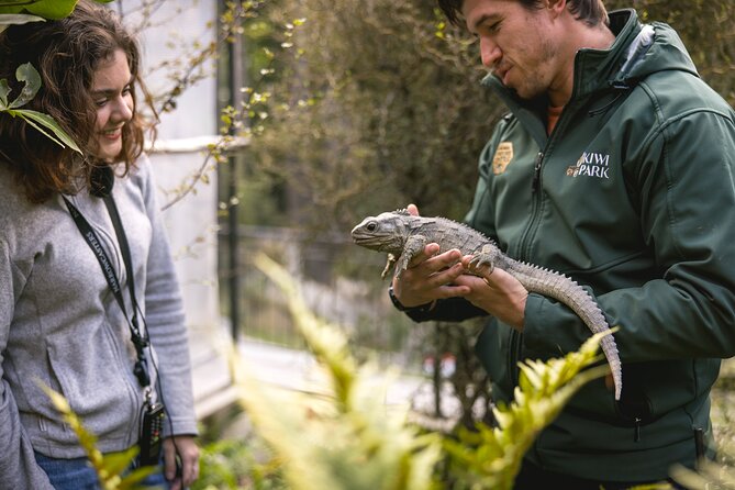 Kiwi Park Queenstown Admission - Practical Tips for Making the Most of Your All-Day Pass