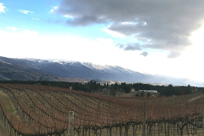 Lake Dunstan Cycleway with E-Bike hire and Shuttle service - Weather and group minimum: the practical hurdles to watch