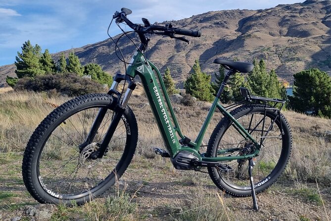 Lake Dunstan E-Bike Trail Adventure - Who Should Book This Lake Dunstan E-Bike Ride?
