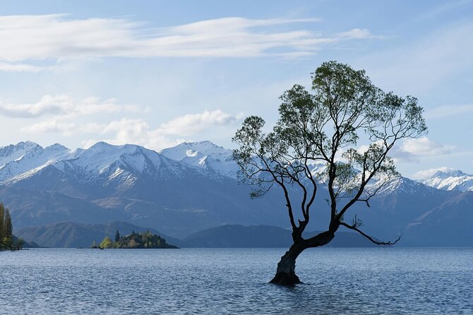 Lake Tekapo Private Day Trip from Queenstown - Price per group: what you’re really paying for