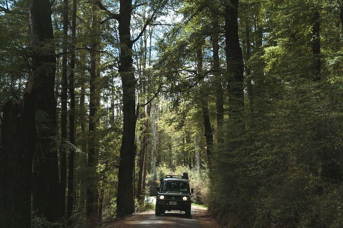 Lord of Rings Tour around Queenstown Lakes by 4WD (full day) - Arrow River: crossing, gold panning, and a slower stretch of fun