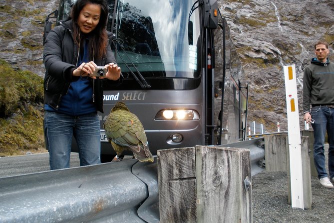 Luxury Milford Sound Coach and Scenic Cruise - Why the Queenstown coach ride is the smart way to reach Milford Sound