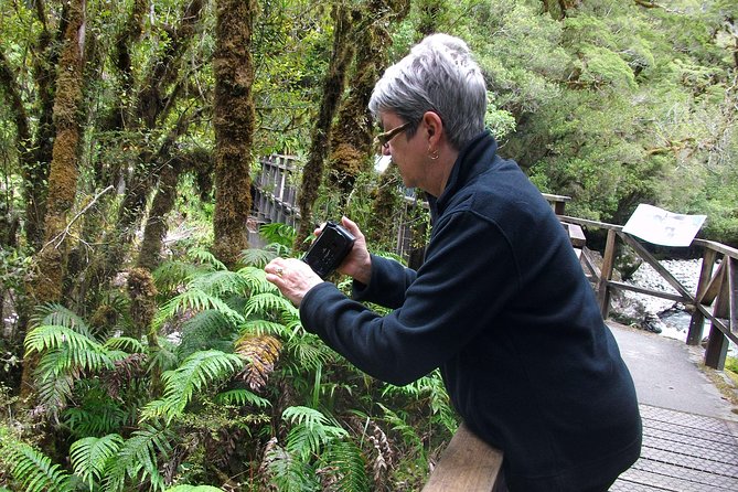 Luxury Milford Sound Coach and Scenic Cruise - Price and value: is $214.10 worth it for your day