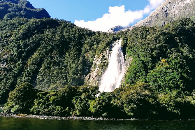 Luxury Milford Sound Coach and Scenic Cruise - Should you book this Milford Sound coach and scenic cruise from Queenstown?