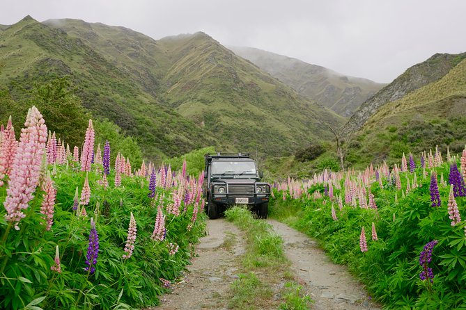 Macetown 4WD Adventure – Full Day Guided Tour from Queenstown - Lakes District Museum & Art Gallery: the quick context that makes everything click