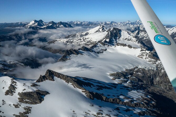 Milford Sound and Big Five Glaciers Scenic Flight - Who should book this scenic flight (and who might skip it)