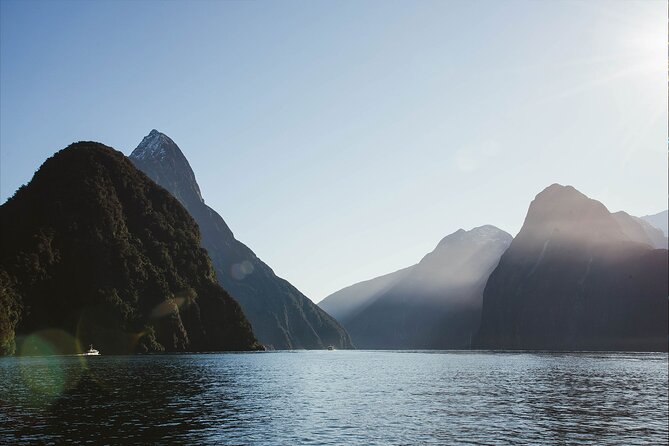 Milford Sound Business Class from Queenstown Cruise Lunch - Sinbad Cruise: champagne arrival and a real nature guide