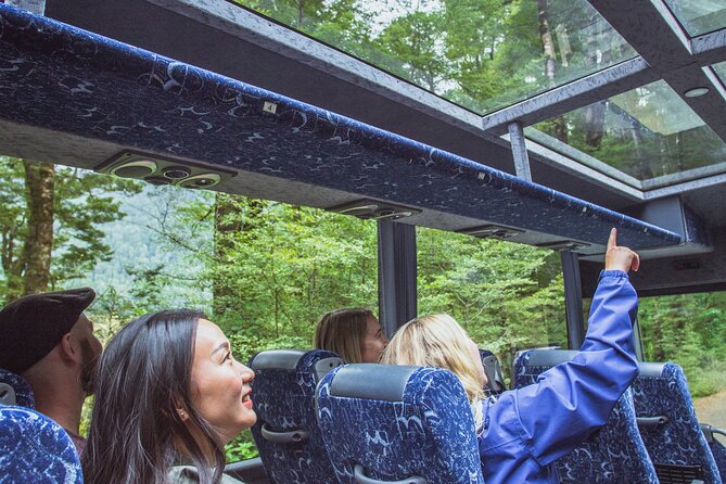 Milford Sound Coach and Cruise tour from Queenstown - Quick hits before you go