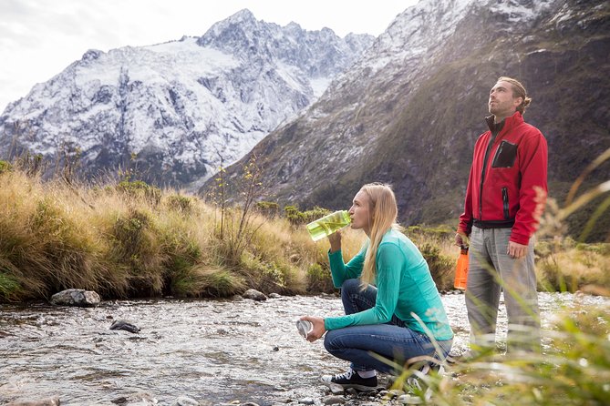 Milford Sound Coach and Cruise Tour from Queenstown with Flyback - Price and Value: Is $530.59 a Smart Deal?