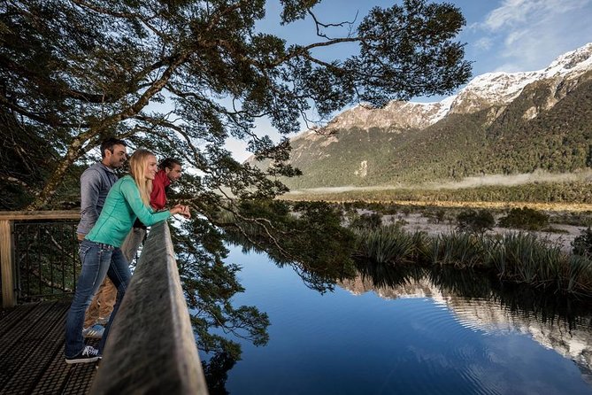 Milford Sound Coach and Cruise Tour from Queenstown with Flyback - Who This Tour Fits Best (and Who Might Want a Different Plan)