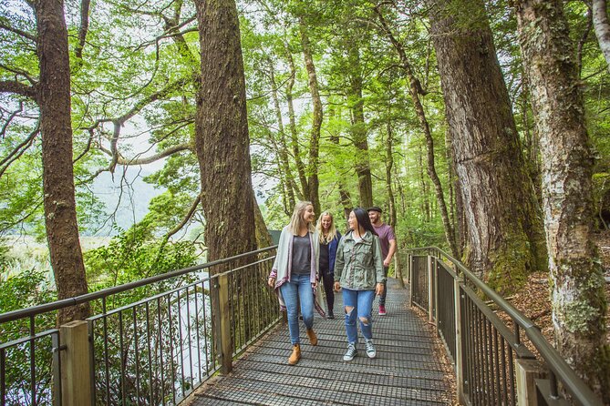 Milford Sound Coach and Cruise tour from Queenstown - The Te Anau stop: your break, your coffee, your legs