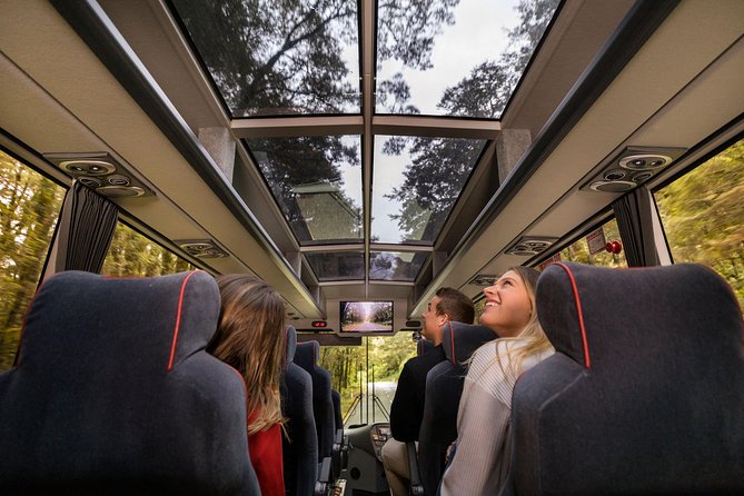 Milford Sound Coach & Cruise from Queenstown: Panoramic Views - Te Anau (gateway town) and the shift in scenery