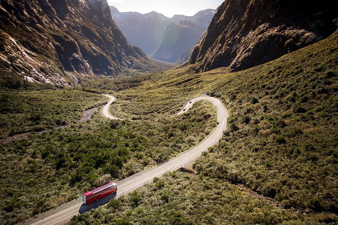 Milford Sound Coach & Cruise from Queenstown: Panoramic Views - Mirror Lakes Walk: small walk, big reflections (if weather allows)