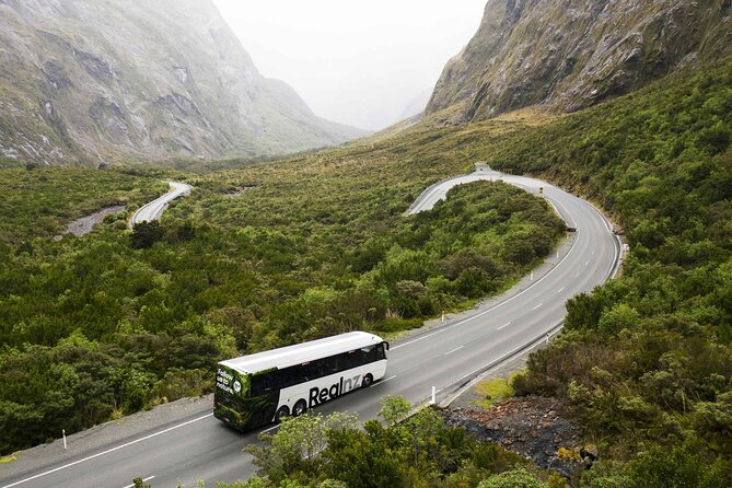 Milford Sound Cruise from Queenstown or Te Anau - The 2-hour cruise through the UNESCO-listed fiord