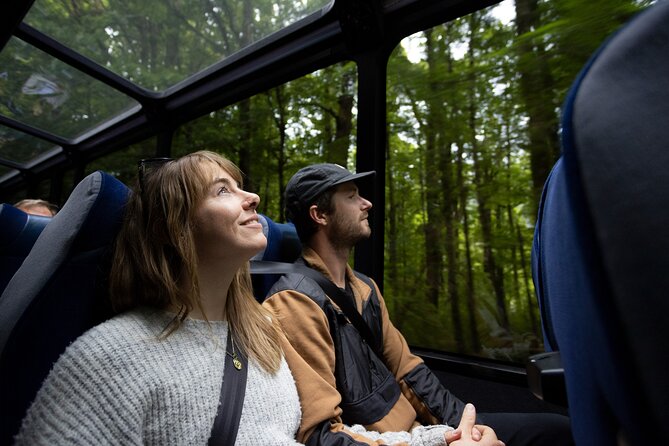 Milford Sound Cruise from Queenstown or Te Anau - Wildlife spotting: your best checklist on the Milford route