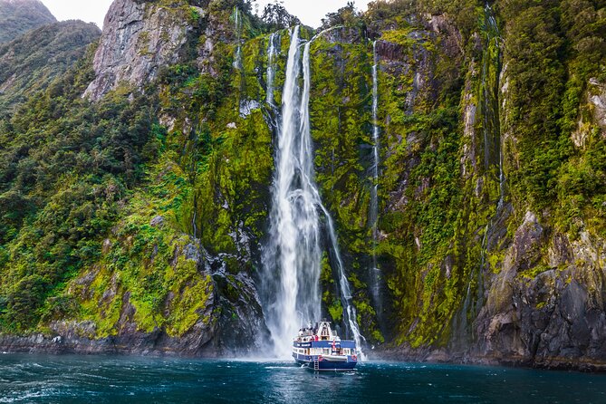 Milford Sound Cruise from Queenstown or Te Anau - Food and drink: what’s included, what you pay for, and how to handle lunch