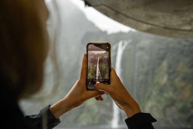 Milford Sound Cruise from Queenstown or Te Anau - Price and value: does $145.83 make sense for what you get?