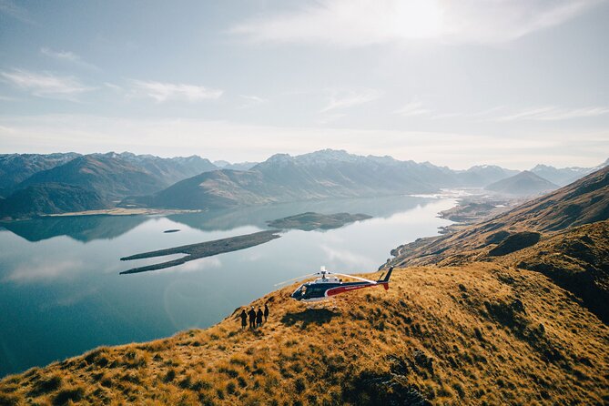 Milford Sound Helicopter and Cruise Tour from Queenstown - Wildlife Chances: Seals, Dolphins, and Fiordland Crested Penguins