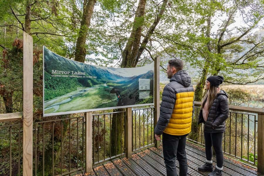 Milford Sound: Premium Small Group Tour from Queenstown - Should you book Altitude Tours to Milford Sound from Queenstown?