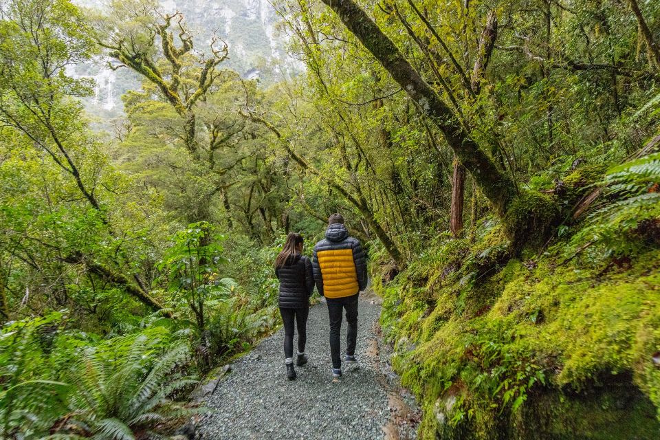 Milford Sound: Premium Small Group Tour from Queenstown - Milford Sound on the water: waterfalls, seals, and the timing of the big moments