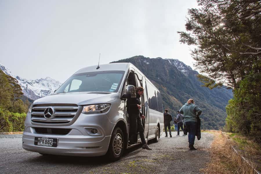 Milford Sound: Premium Small Group Tour from Queenstown - Packed lunch and comfort choices: what to expect on food and gear