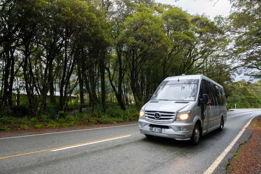 Milford Sound: Premium Small Group Tour from Queenstown - Who this Milford Sound tour suits best (and who should rethink it)
