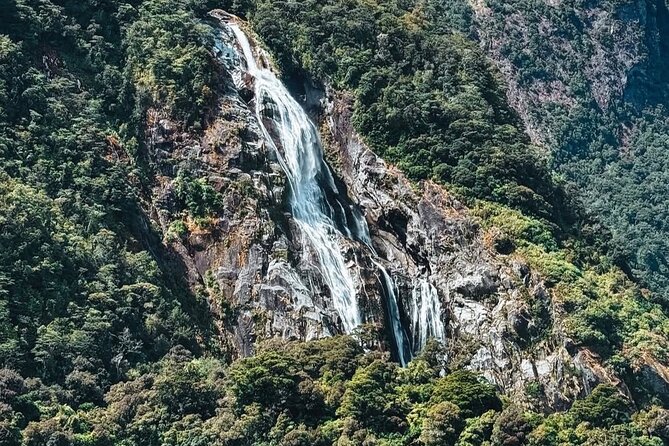 Milford Sound Private Day Trip from Queenstown via Te Anau - Mirror Lakes Walk: short stroll, big payoff