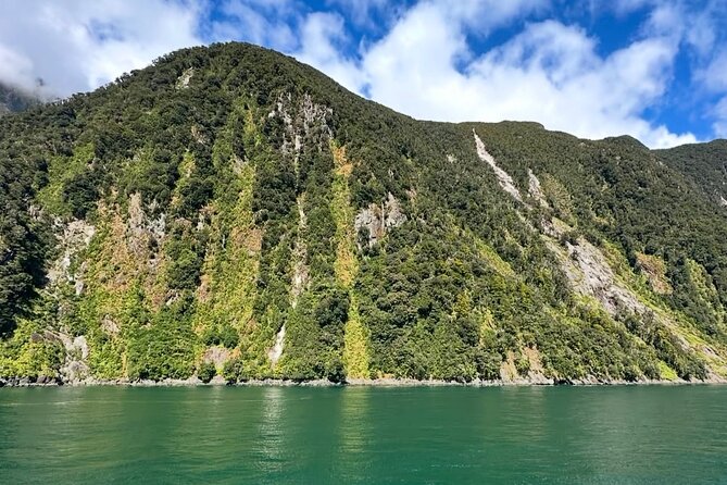 Milford Sound Private Day Trip from Queenstown via Te Anau - Milford Sound for about two hours: what you’ll do and what you’ll miss