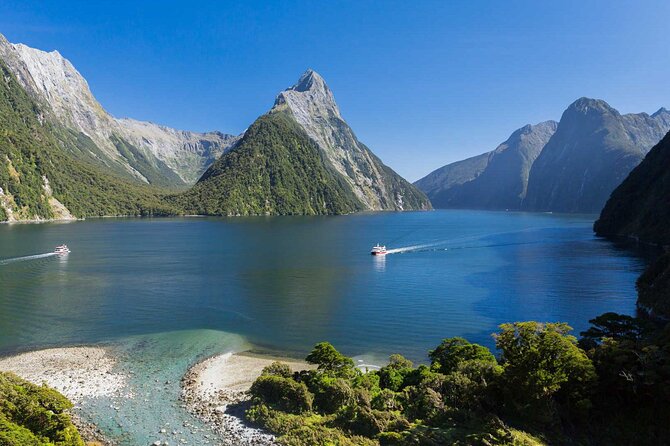 Milford Sound Small Group Tour, Cruise & Picnic Lunch - The Hollyford River route and Falls Creek moments