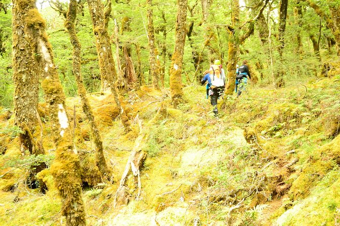 Mt Aspiring Full Day Canyon ex Queenstown or Wanaka - What You’re Really Doing in Mt Aspiring Canyon
