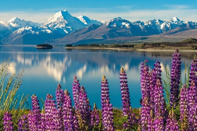 Mt. Cook Private Day Trip From Queenstown with Lake Tekapo - Starting at 7:00am from Novotel Queenstown Lakeside