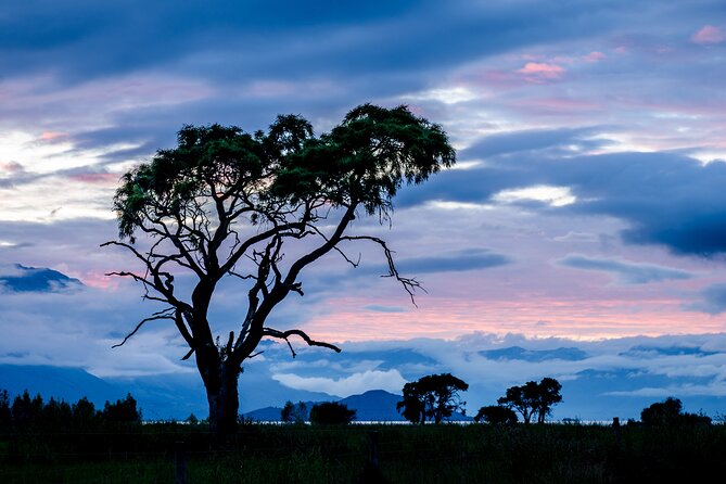 Photography Tour from Queenstown to Glenorchy - 1/2 Day - Tripod on request, snacks in your bag: small details that save your day