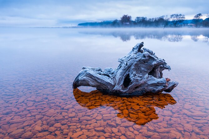 Photography Tour from Queenstown to Glenorchy - 1/2 Day - Value for $235.82: what you’re really paying for