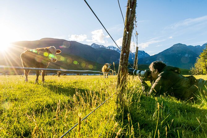 Photography Tour from Queenstown to Glenorchy - 1/2 Day - Who should book this, and who should skip it