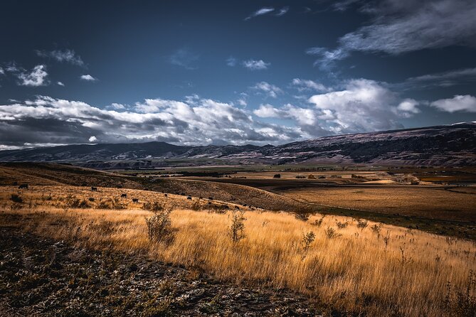 Private Central Otago Wine tasting Tour with Gourmet Lunch. - Gibbston tastings: where the day becomes wine-country day